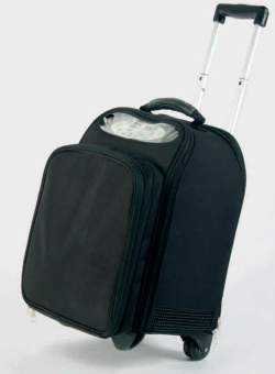 igo-caddy.png